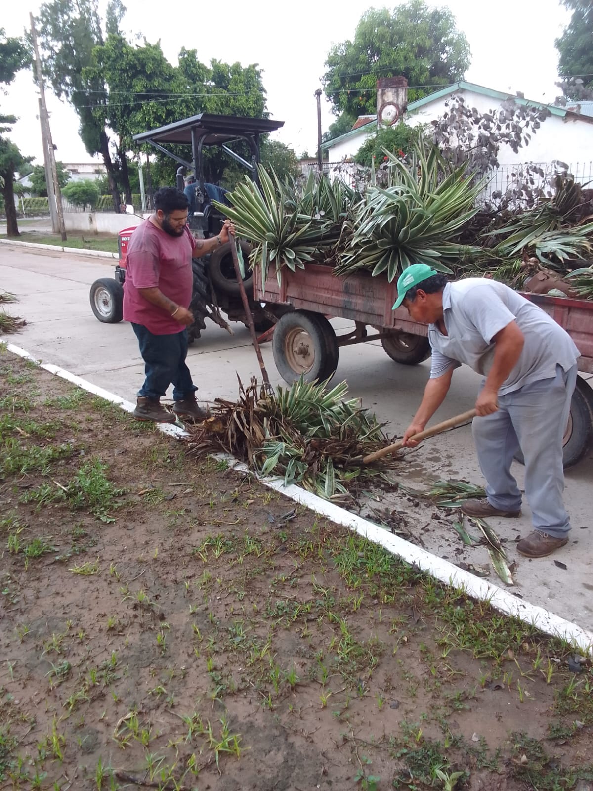 Imagen adicional