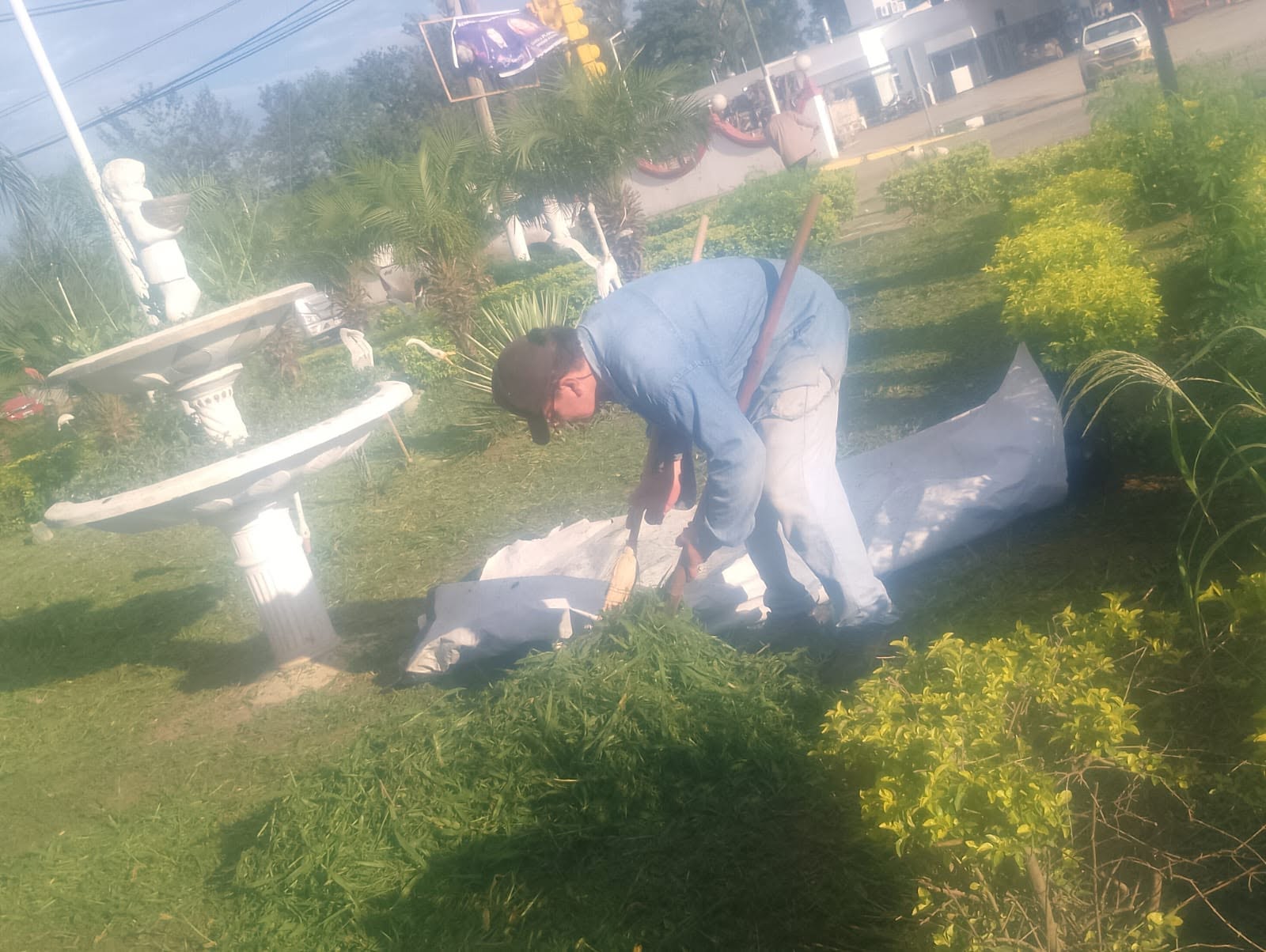 Imagen adicional